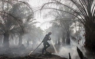 DINKES RIAU NILAI KABUT ASAP BERBAHAYA
