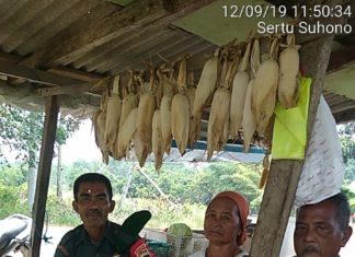 Memasuki Musim Kemarau Panjang, Serda Suhono Himbau Masyarakat Tidak Bakar Lahan