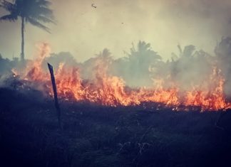 Kebakaran Lahan Kembali Terjadi, 1 Unit Mobil Damkar Milik DPKPB Natuna di Terjunkan