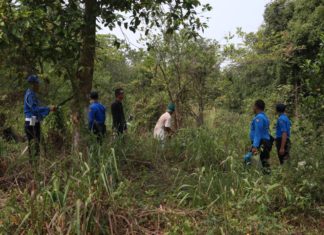 Patroli Gabungan Penertiban Kegiatan Ilegal di KKOP Hang Nadim