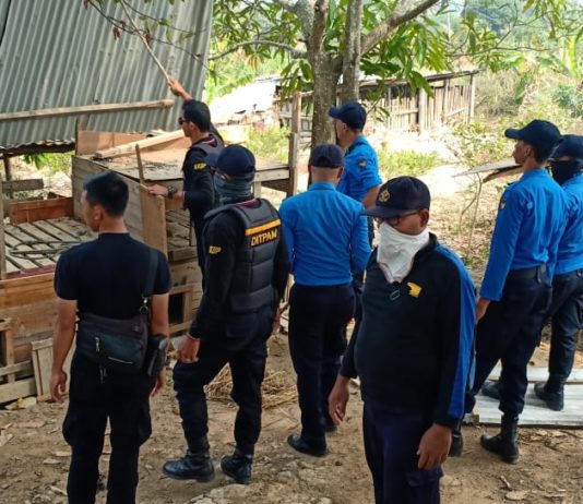 Patroli Gabungan Tertibkan Kandang Babi di KKOP Hang Nadim