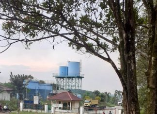 Hasil Buah sawit PT.SSS di duga dari Hutan TNTN