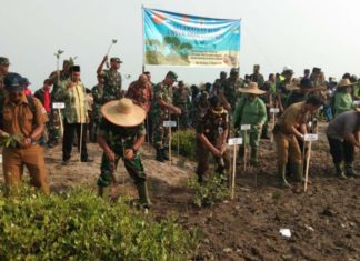 Pangdam l/BB Turut Serta Tanam Pohon Mangrove di Desa Bagan