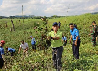 Pembersihan Eceng Gondok di Waduk Duriangkang