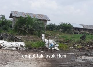 Miris…, Diduga Karyawan PT Parawira Tidak Memiliki BPJS