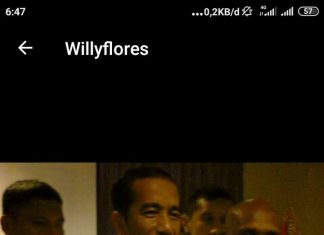 Diminta Pada Dinas Perkebunan Riau Supaya Benar Meninjau Ulang Areal Perusahaan Kebun Sawit Riau