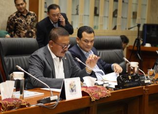 BP Batam Hadiri RDP Bersama Komisi VI DPR RI