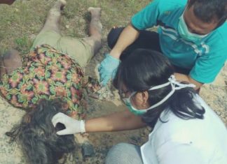 Warga Pangkalan Lesung Digemparkan Mayat Perempuan Usia Lanjut