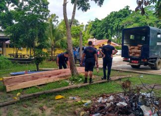 Lagi, Ditpam BP Batam Temukan Illegal Logging di Kawasan Hutan Lindung Duriangkang