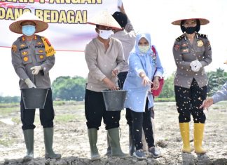 Peresmian lahan sawah 20 hektar di resmikan Wabup Sergai