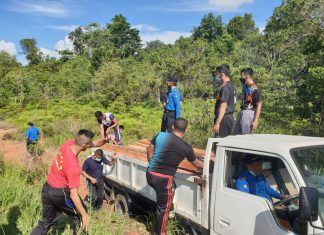 Ditpam BP Batam Kembali Tangkap Pelaku Illegal Logging di Kawasan Hutan Lindung Duriangkang