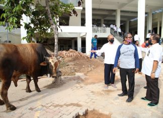 Bersempena Idul Adha 1441 H, BP Batam Berkurban 6 Ekor Sapi dan 10 Ekor Kambing