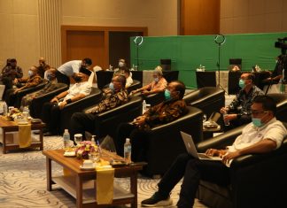 Rencana Pengembangan KEK Hang Nadim Batam Pikat Hati Investor Asing