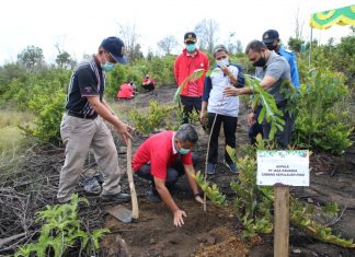 Tanam 500 pohon, BP Batam dan Jasa Raharja Kompak Hijaukan Batam