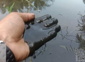 Kolam Limbah PKS PT Indosawit Jebol Mengakibatkan Ikan Di Sungai Pada Mati