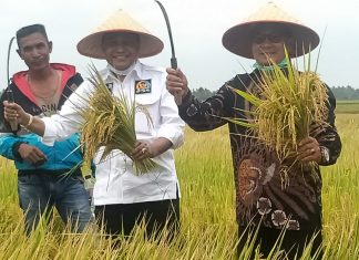 Wakil Ketua II DPD RI RESES Peningkatan Hasil Pertanian