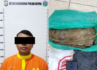 Dit Resnarkoba Polda Kepri Berhasil Mengamankan Seorang Tersangka Pemilik Narkotika Jenis Daun Ganja