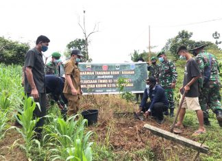Berdayakan Ekonomi Warga, Satgas TMMD Kodim 0319/Mentawai Tanam Pohon Produktif