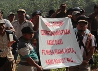 Konflik Lahan Desa Gondai Pakar Lingkungan Menilai : Akibat Kurang Pengawasan Akibatnya Konflik Desa Gondai Antara PT.NWR