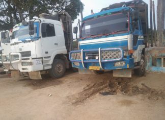 Truk Plat Luar Riau Sudah lama Beropersi Di Kabupaten Pelalawan Membuat PAD Pemerintah Pelalawan Dirugikan