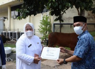 Idul Adha 1442 H, BP Batam Berkurban 17 Ekor Sapi dan 35 Ekor Kambing