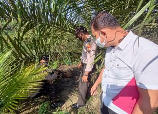 Heboh, Mayat Tulang Belulang Ditemukan KM 55 Pelalawan