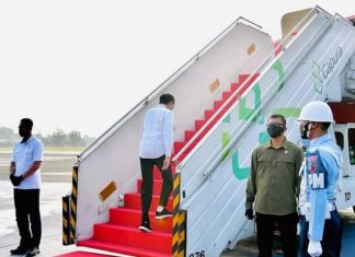 Presiden Jokowi Akan Tiba Di Pekanbaru: Dalam Rangka Tanam Mangrove Bersama Masyarakat di Riau dan Kepri