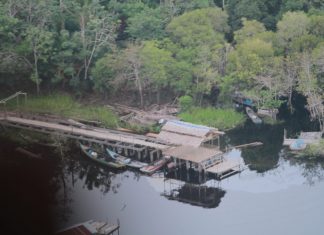 Tanggapi Issue Deforestasi dan Kerusakan Lingkungan Hidup, Kapolda Riau Bertekad Negara Tidak Boleh Kalah dari Kejahatan, Hutan Harus Diselamatkan