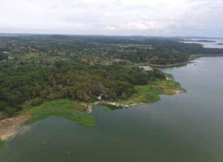 PT TDK Electronics Indonesia bekerja sama dengan Badan Pengusahaan Batam Gelar Penanaman Pohon