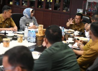 Gubernur Ansar Siapkan Rencana Revitalisasi Pasar Baru Tanjungpinang