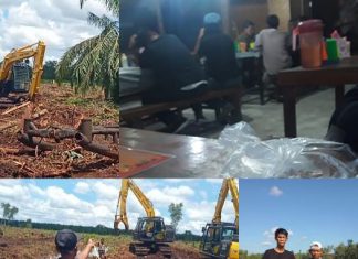 PT. Arara Abadi diduga menyerobot kebun sawit masyarakat