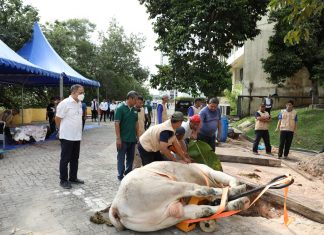 Momen Idul Adha 1443 H, BP Batam Sembelih Hewan Qurban