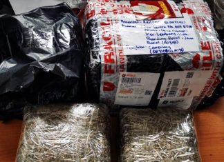 Jasa Ekspedisi Jadi Sasaran Penyelundupan Narkotika antar Provinsi, Bea Cukai Batam Gagalkan Pengiriman Dua Paket Ganja