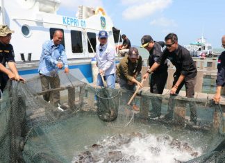 Pesan Gubernur Untuk Taba Iskandar: Tampung Aspirasi Masyarakat, Sampaikan Ke Saya