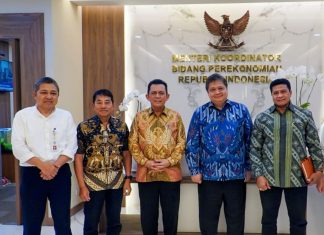 Gubernur Ansar Temui Airlangga Hartarto Laporkan Kemajuan Proyek Jembatan Batam-Bintan