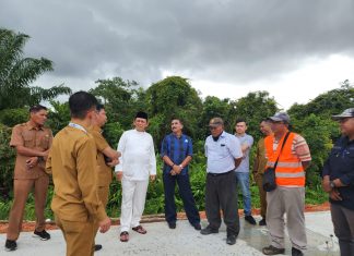 Pedestarian Jalan Bandara RHF Tanjungpinang Berhas Bunga Sakura, Bunga Tanjung dan Pohon Pinang