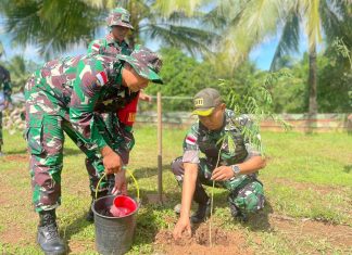 Ribuan Pohon Sengon Hiasi Perbatasan Indonesia-Papua Nugini