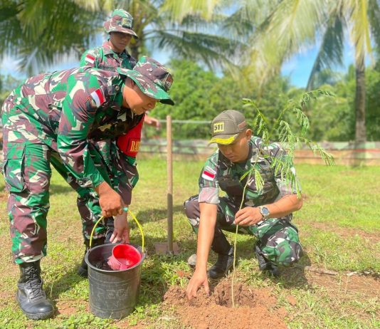 Ribuan Pohon Sengon Hiasi Perbatasan Indonesia-Papua Nugini