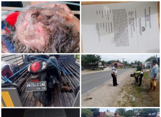 Bus Medan Jaya Tabrak Ibu Dasor Panjaitan Warga Kandis Riau,hingga Saat ini belum ada Penyelesaian pada Keluarga Korban