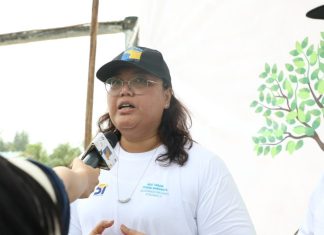 Jalan dibuat 6 Lajur, BP Batam Pastikan Penghijauan Jalan Tidak Terhambat