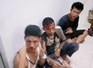 Oknum Security PT.BGN Grup Pt Serikat Putra Siksa Tiga Orang Tanpa Ada Bukti Dituduh Curi Sawit.