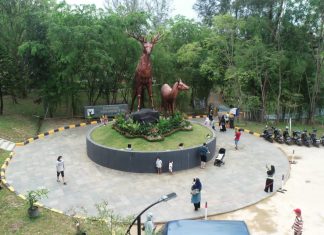 Tambah Fasilitas Baru, Taman Rusa Sekupang Bakal Hadirkan Coffee Corner