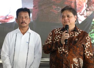 Resmikan 6 Perusahaan, Menko Airlangga Apresiasi Kerja Keras BP Batam