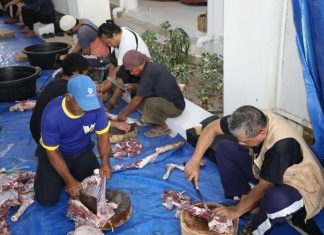 Momen Idul Adha 1444 H, BP Batam Lakukan Penyembelihan Hewan Qurban Hingga Launching Tabungan Qurban