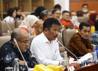 BP Batam Hadiri RDP DPR RI, Bahas Pengembangan Rempang Eco-City