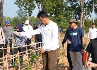 Tanam 1.800 Pohon Jati Mas, Kepala BP Batam : Terus Melaju Wujudkan Batam Baru yang Hijau dan Lestari
