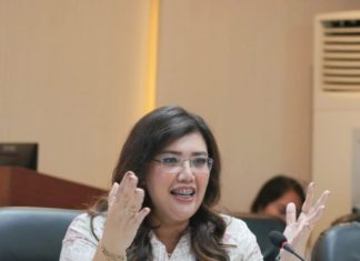 Progres Pengembangan Rempang Eco-City