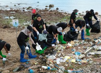Peringati Hari Lingkungan Hidup Sedunia, PLN Batam Gelar Aksi Bersih Pantai Tanjung Uma