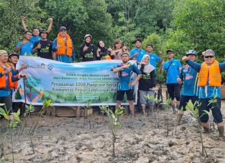 Jaga Kelestarian Lingkungan, PLN Batam Tanam 1.000 Pohon Mangrove di Pantai Nongsa