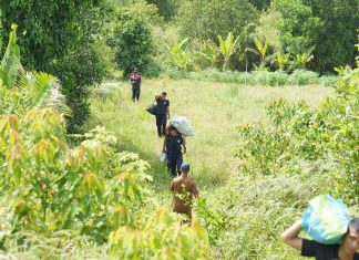 Update BP Batam: 210 Warga Terdampak PSN Rempang Eco-City telah Bergeser ke Hunian Sementara